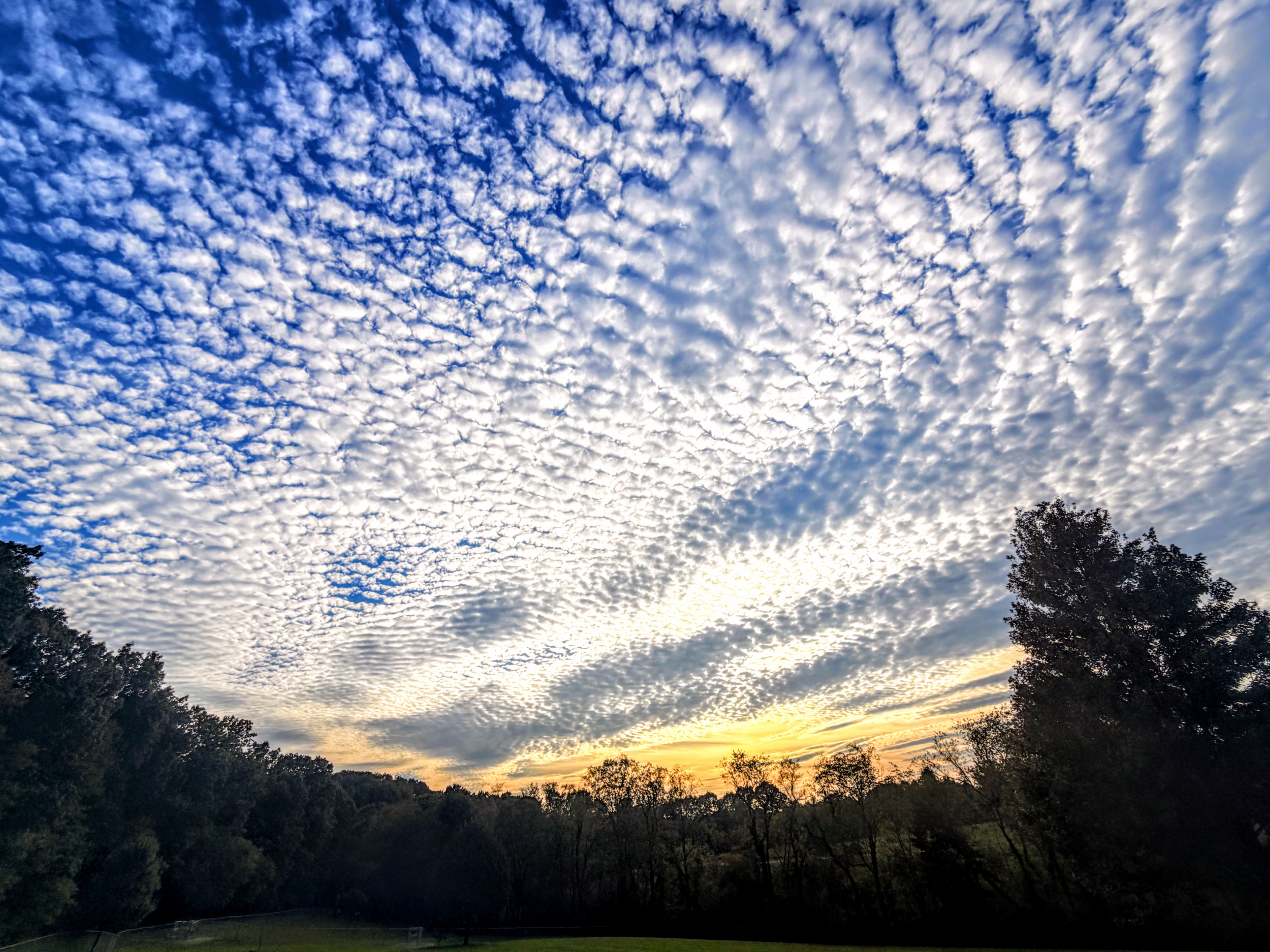 Sky filled with rippled white clouds above a forested horizon at sunset, with golden light breaking through near the treeline.