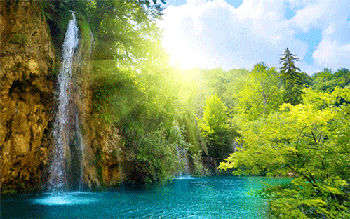 Selleck Waterfall Sandwitch